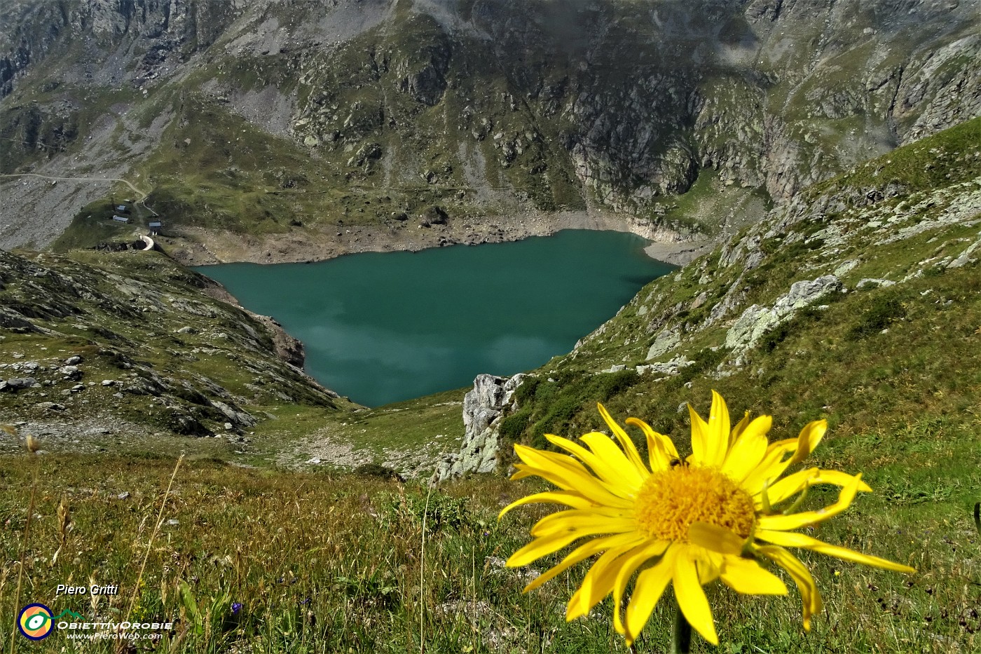 78 Giallo doronico dei macereti...verde del Lago del Diavolo.JPG